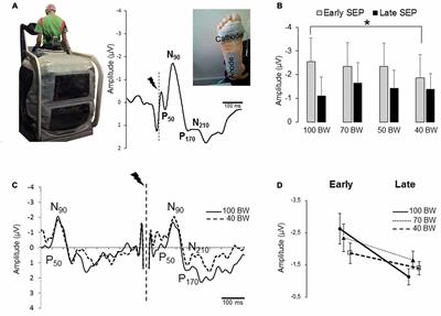 Plantar Sole Unweighting Alters the Sensory Transmission to the Cortical Areas